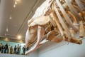 NAVIGO Visserijmuseum